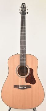 Seagull, Coastline Momentum HG A/E, Guitar, NEW, Canada